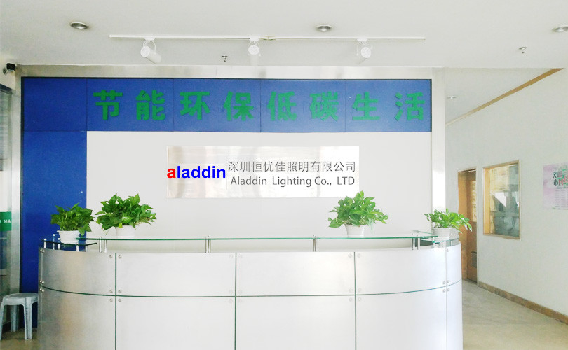 중국 Aladdin Precision Lighting Tech Limited 회사 프로필
