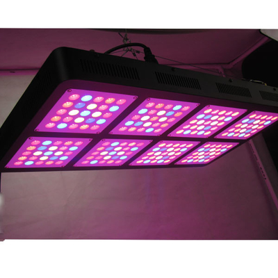 Forest Grower 3W Chip Indoor Led Hydroponic Grow Lights , Full Spectrum 600W Uv Grow Lights
