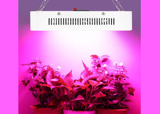 100Leds 300W Led Indoor Garden Lights Flower Plant Grow Lamp Copper Free Aluminum