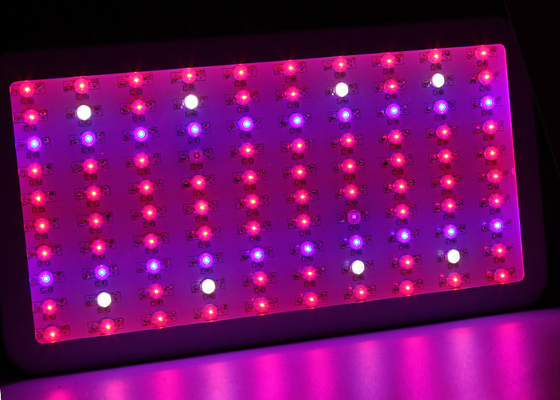 100Leds 300W Led Indoor Garden Lights Flower Plant Grow Lamp Copper Free Aluminum
