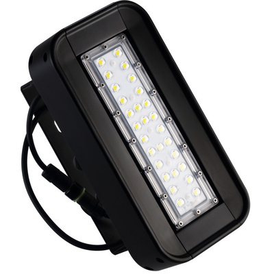 Hydroponic Led Herb Grow Light Waterproof High Power 50W 220V For Plant Vegetables