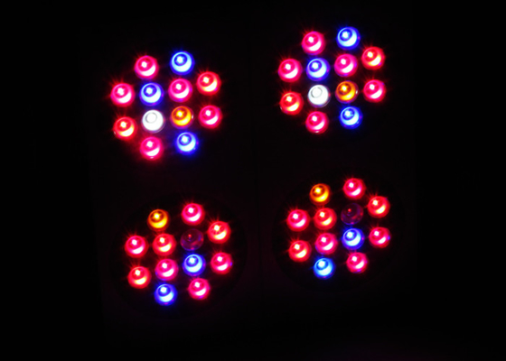 Dual Switches 480w Led Growing Lights For Cannabis , Medical Plants Hemp M.J Weed Led Indoor Garden Lights