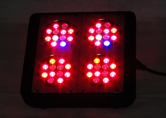 Dual Switches 240w Cannabis Led Weed Grow Lights , Hemp M.J Medical Plant Grow Lights
