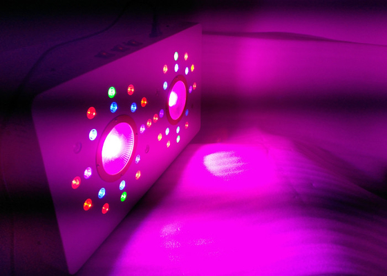 Full Spectrum 336w COB LED Grow Light for Indoor Plant Vegetative Flowering,plant led grow light COB for hydroponics