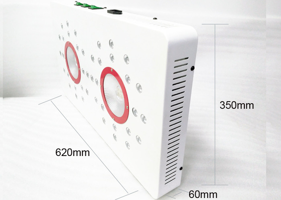Indoor Plant Vegetative Flowering Led Grow Light 504 W COB High Power Full Spectrum