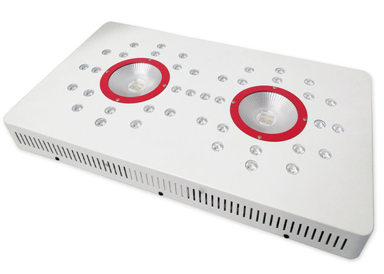 Indoor Plant Vegetative Flowering Led Grow Light 504 W COB High Power Full Spectrum