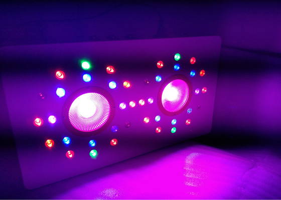 Indoor Plant Vegetative Flowering Led Grow Light 504 W COB High Power Full Spectrum