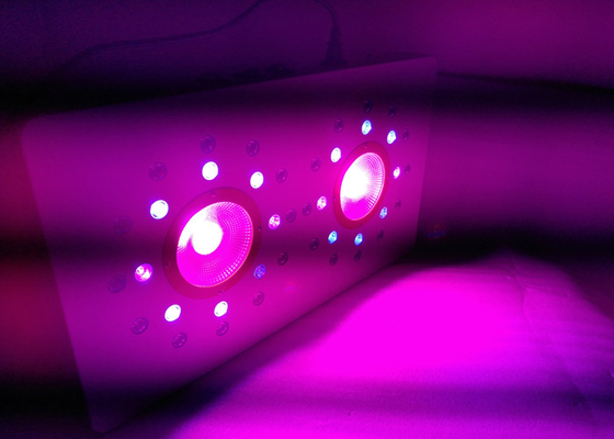 Full Spectrum 456 W COB Grow Light LED , Indoor Veg Flowering Bloom Grow Lamp Hydroponic