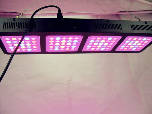 Growing Weed Cannabis 300w Led Grow Light Bar For Hydroponic Horticultural Agricultural