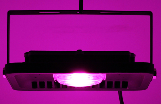 30W 50W 100W 220V Waterproof Led Flood Light Grow , Commercial High Power Grow Lights