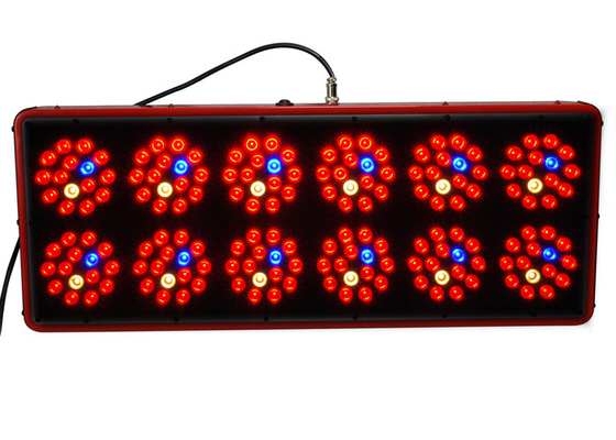 Medical Plants Apollo Led Grow Lights 900w For Cultivation Propagation VEG Flowering