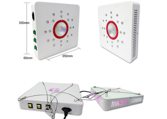 Hydroponic 228w Indoor Grow Lights For Vegetables' VEG Flowering 50 - 63HZ