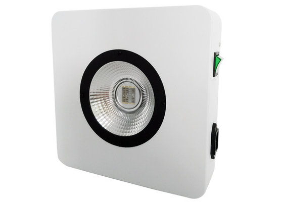 Hemp Plants 200w Cannabis Marijuana Grow Lights Cob Led For Commercial Growers CE Rohs