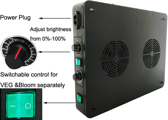 Double Switches Dimmer Marijuana Grow Lights 288w 300w For Commercial Grower Indoor Growing System