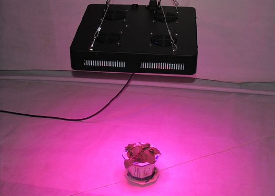 CE ROHS FCC Marijuana Grow Lights Led Modular Design For Indoor Greenhouse Veg Bloom