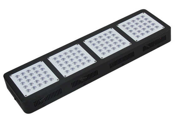Marijuana 500w Grow Lights For Indoor Plants T5 4ft Greenhouse Factory Vertical Farming