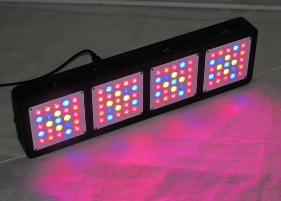 Lower Temperature 500w Cree Led Grow Lights For Greenhouse Seedling VEG Bloom Flower