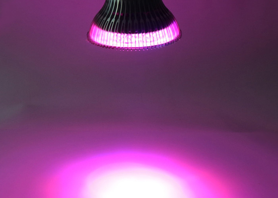 122 X H122mm 27watt Indoor Grow Lights For Vegetables Home Growing Custom Color Ratio
