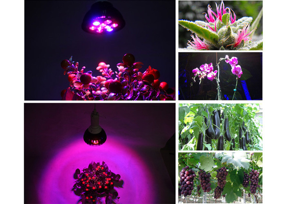 Plant Growing 9w Hydroponic Grow Lights Weed Cannabis Medical Plants To Increase Yields