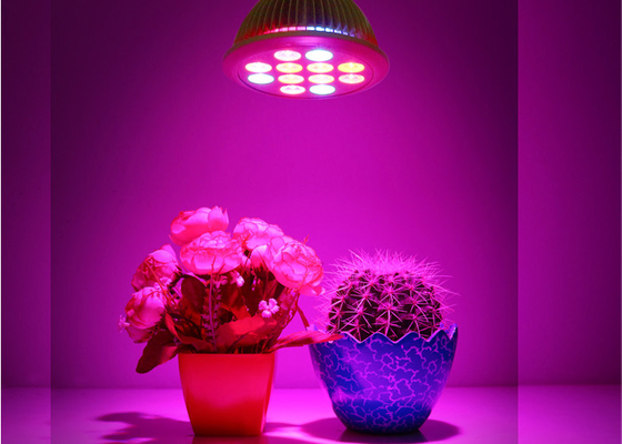 Highest Intensity Led Grow Lights For Indoor Plants Full Spectrum , 36w 27W E27 E26 Plant Grow Light