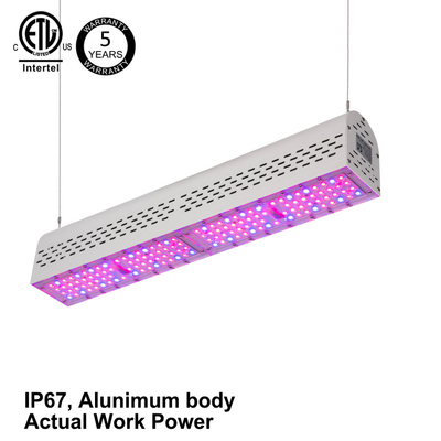 ETL UL Listed Waterproof Grow Lights , 100w Hydroponic Led Growing Lights For Cannabis Veg Bloom