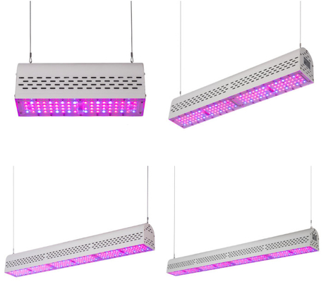 Vertical Farming Outdoor Grow Lights 300w 200w Urban Growing Plants Wall Design