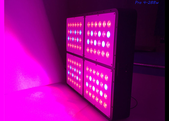 Epistar Epileds 0-100% Vegetative Bloom Full Spectrum Grow Light , 300w Dimmable Led Grow Lights