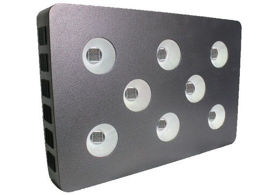 Marijuana Seedling Cultivation 600 Watt Led Grow Light Panel Propagation Indoor Plants