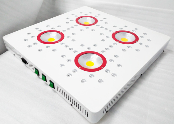 Bloom 600watt DIY Led Grow Light Fixtures , 50 / 60 Hz CREE LED Hydroponic Grow Lights