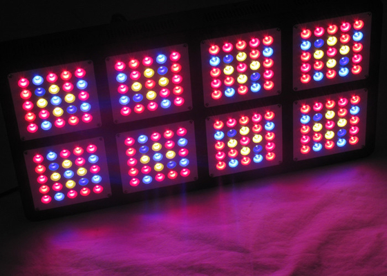 Forest Grower 3W Chip Indoor Led Hydroponic Grow Lights , Full Spectrum 600W Uv Grow Lights