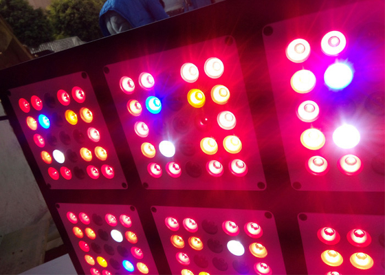 Medical Plants Hydroponic Weed Growing Lights , Forest Grower 1000W Plant Grow Lights