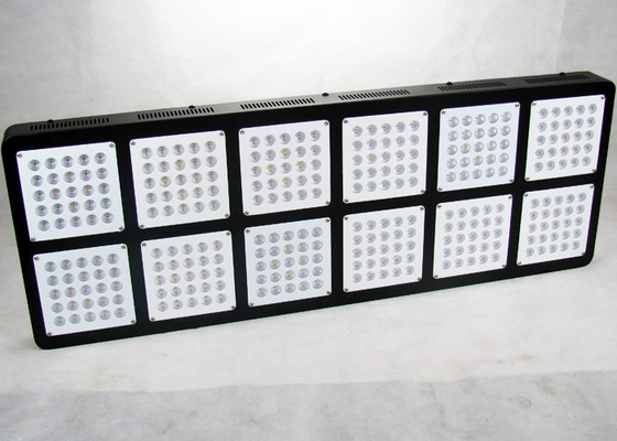 Forest Grower 1500W Led Flowering Grow Lights , Medical Cannabis Hydroponic Led Grow Lights