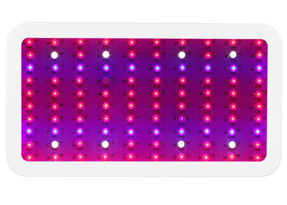 100Leds 300W Led Indoor Garden Lights Flower Plant Grow Lamp Copper Free Aluminum