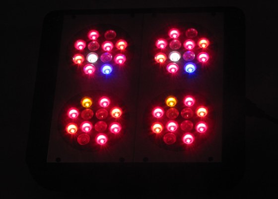 Dual Switches 240w Cannabis Led Weed Grow Lights , Hemp M.J Medical Plant Grow Lights