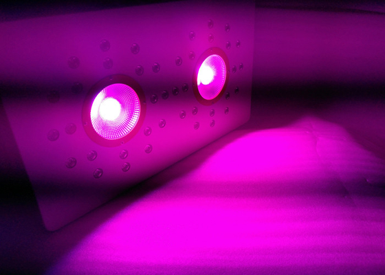 Indoor Plant Vegetative Flowering Led Grow Light 504 W COB High Power Full Spectrum