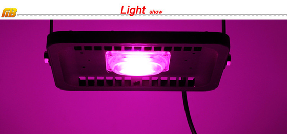 30W 50W 100W 220V Waterproof Led Flood Light Grow , Commercial High Power Grow Lights