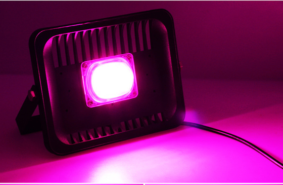 30W 50W 100W 220V Waterproof Led Flood Light Grow , Commercial High Power Grow Lights