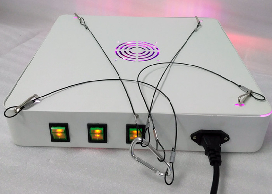 Hydroponic 228w Indoor Grow Lights For Vegetables' VEG Flowering 50 - 63HZ
