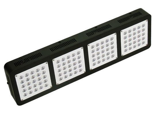 Marijuana 500w Grow Lights For Indoor Plants T5 4ft Greenhouse Factory Vertical Farming