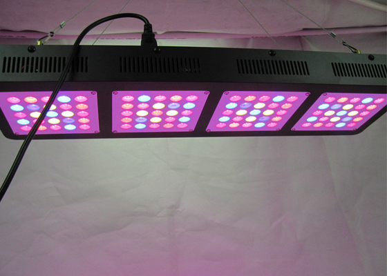 Lower Temperature 500w Cree Led Grow Lights For Greenhouse Seedling VEG Bloom Flower