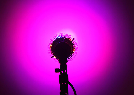 Blue / Red E27 12W Led Grow Bulbs 3w AC 85 - 265V For Hydroponics Growing
