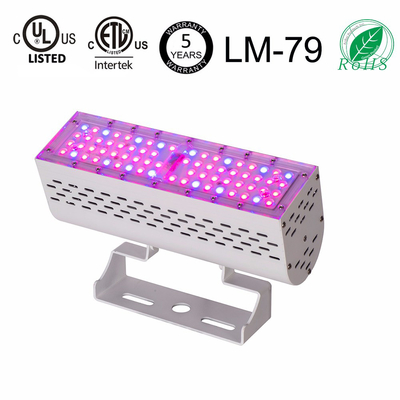 50W Cultivation Bloom Plant Grow Lights , ETL LM - 79 5 Year Warranty Led Greenhouse Lighting