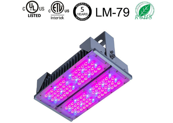 50W Cultivation Bloom Plant Grow Lights , ETL LM - 79 5 Year Warranty Led Greenhouse Lighting