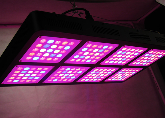 Full Spectrum 600 Watt Led Grow Light With Adjustable Output Spectrum For Medical Plants