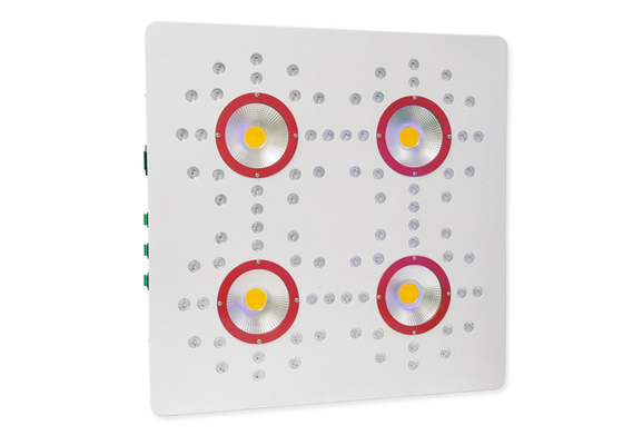 Bloom 600watt DIY Led Grow Light Fixtures , 50 / 60 Hz CREE LED Hydroponic Grow Lights
