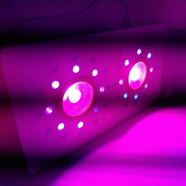 송이 당 8leds 3w