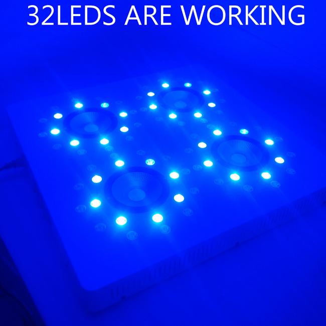 송이 당 8LEDS 3W