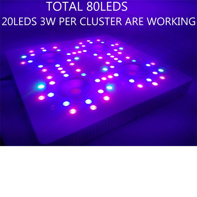 송이 당 20leds 3w