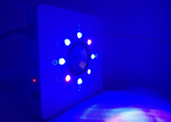송이 당 8leds 3w는 작동하고 있습니다