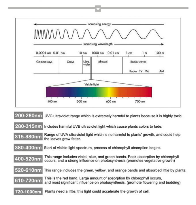 지도된 9w 도매가는 수경법 식물 성장하고 있는 잡초 마리화나 의학 식물을 위한 수확량을 증가시키기 위하여 전구를 성장합니다